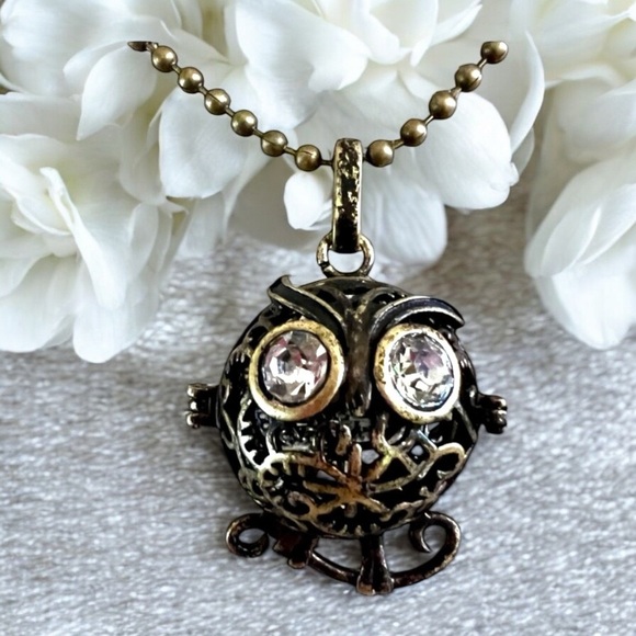 Bronze and rhinestone owl locket necklace. Owl necklace. - Picture 3 of 11